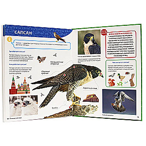 Viss par sarkano grāmatu mazajiem
