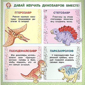 Stegozaurs. Kāpēc mēs esam atšķirīgi