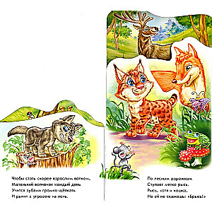 Meža takas
