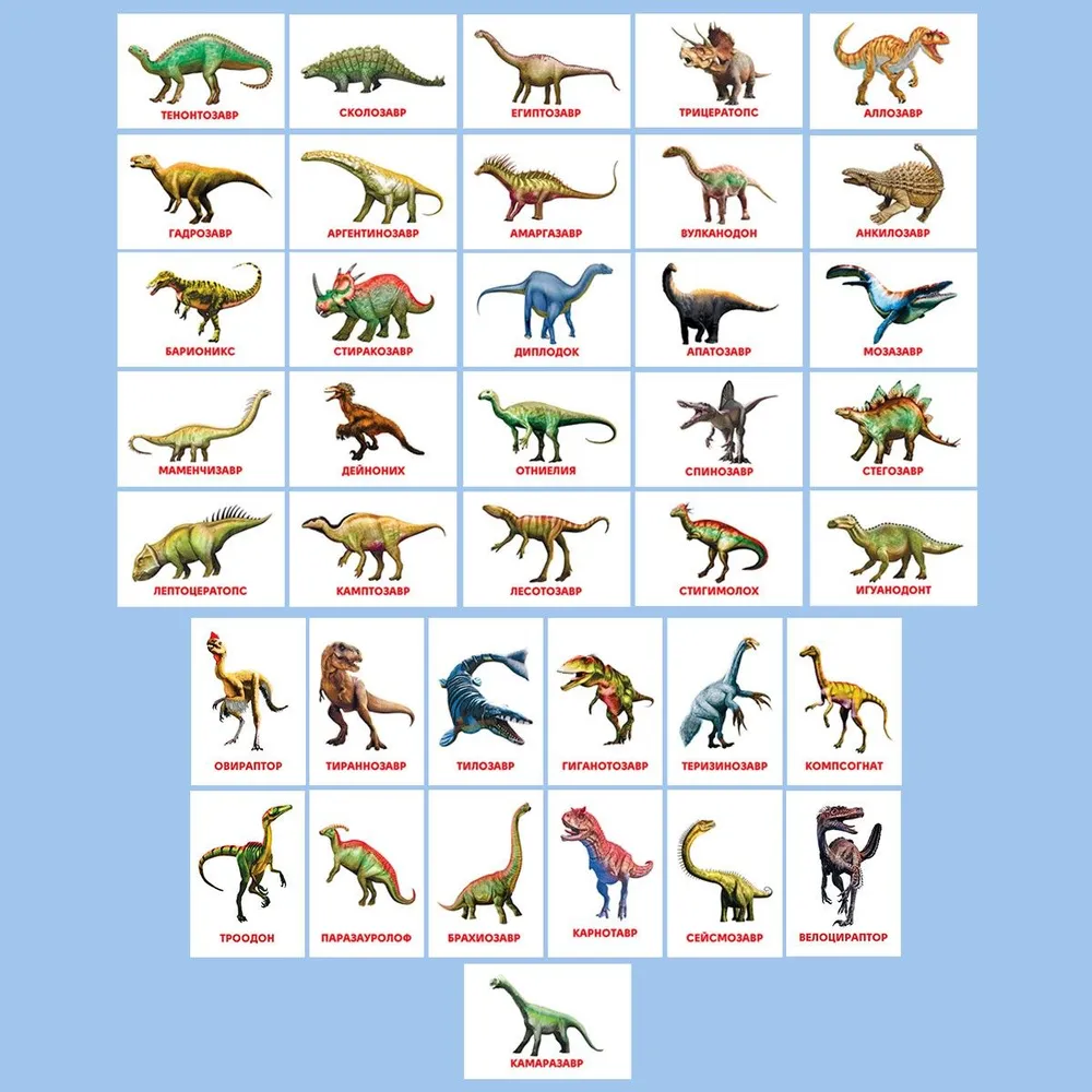 Attīstošās kartītes Dinosauri