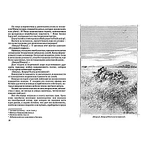 Kapteinis Sārdzīgs