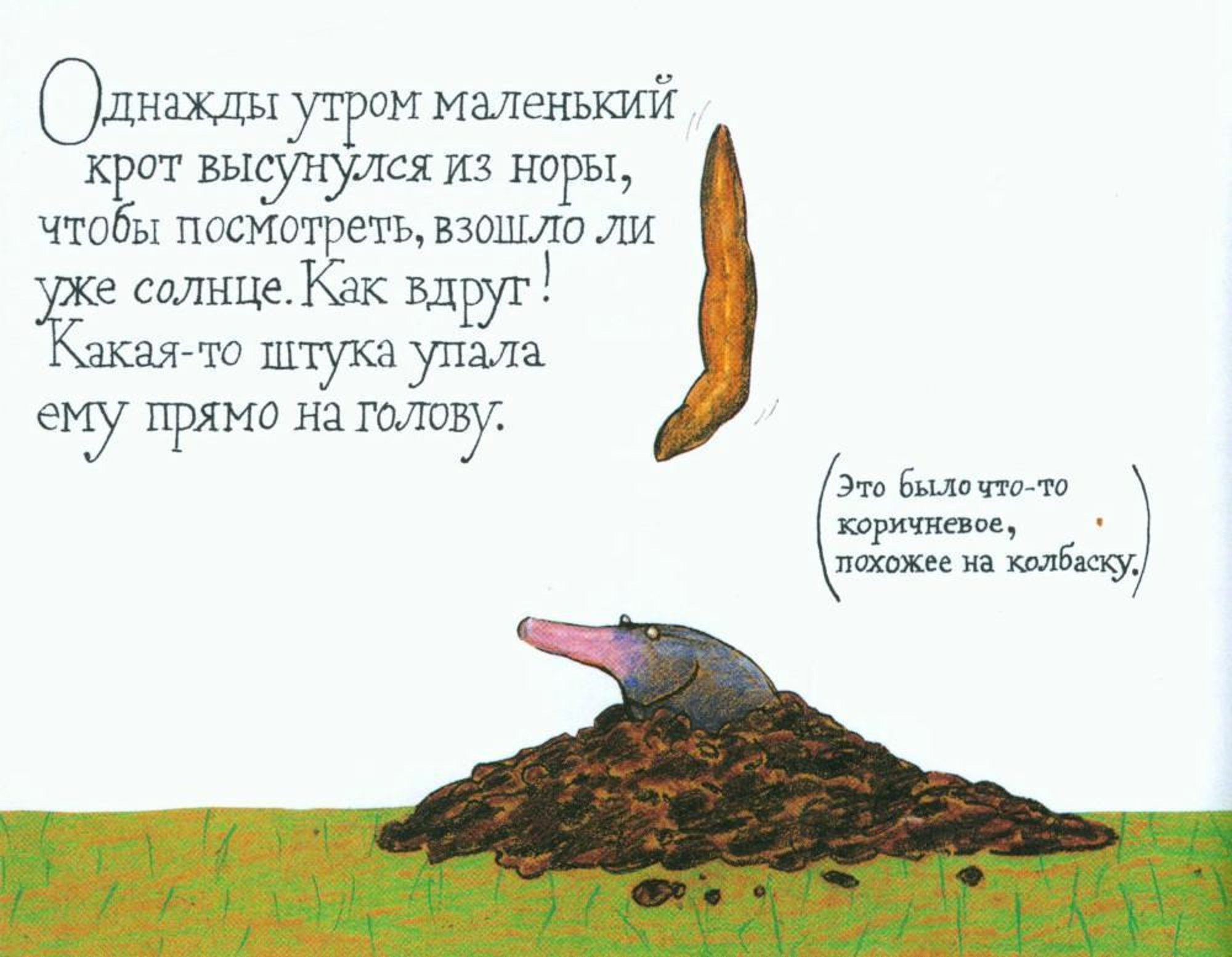 Mazais krupis, kurš gribēja zināt, kurš viņam uzlicis uz galvas