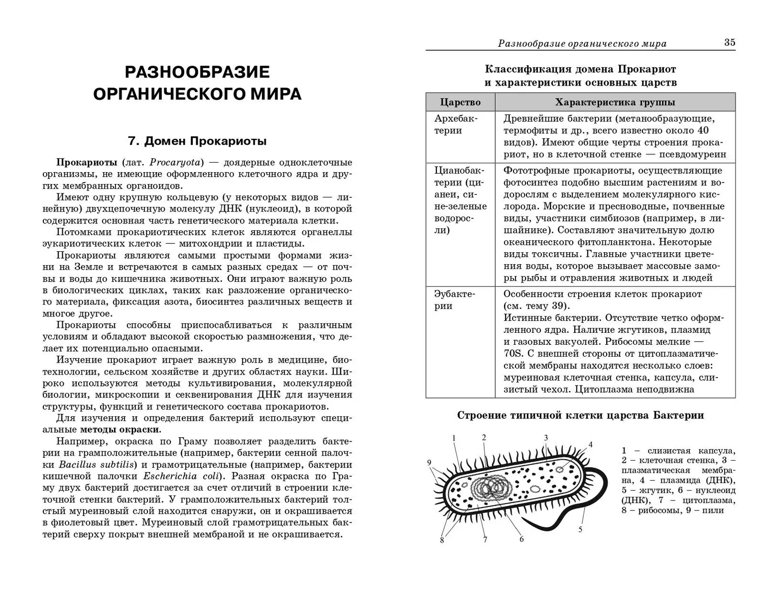 Bioloģija: vizuāli un pieejami