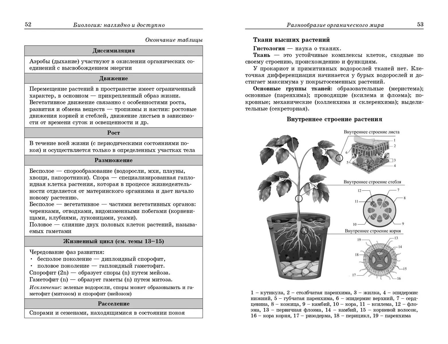 Bioloģija: vizuāli un pieejami