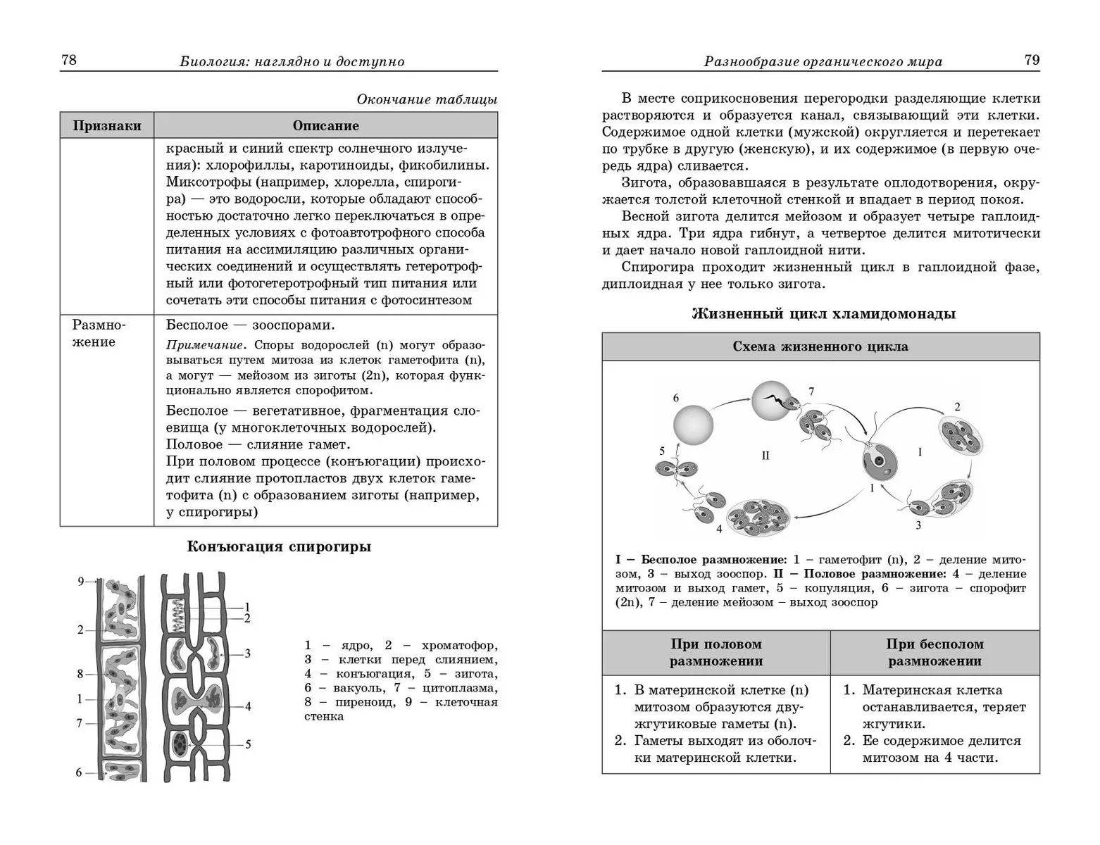Bioloģija: vizuāli un pieejami