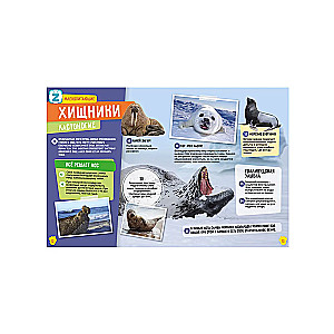 Dzīvnieki. Dinosauri. 250 neticamu faktu (komplekts)
