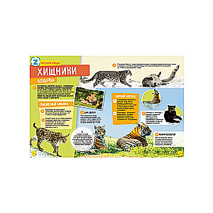 Dzīvnieki. Dinosauri. 250 neticamu faktu (komplekts)