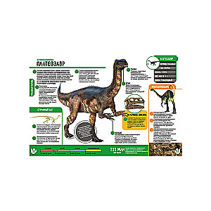Dzīvnieki. Dinosauri. 250 neticamu faktu (komplekts)