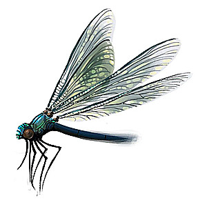 Galda spēle Ёзу