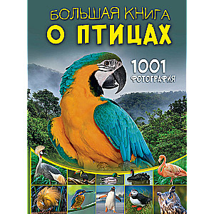 Lielā grāmata par putniem. 1001 fotogrāfija