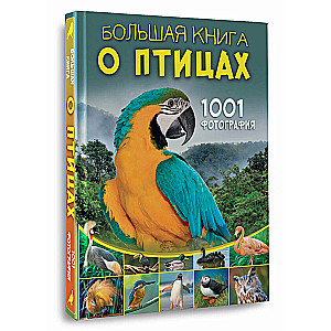 Lielā grāmata par putniem. 1001 fotogrāfija