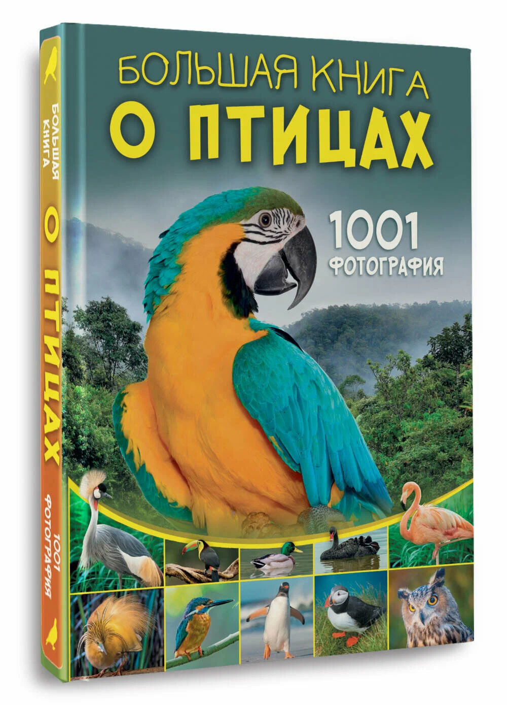 Lielā grāmata par putniem. 1001 fotogrāfija
