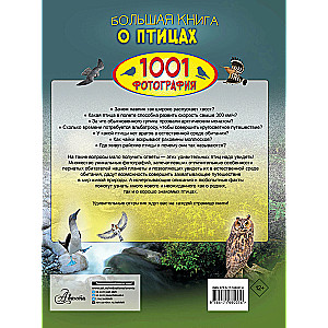 Lielā grāmata par putniem. 1001 fotogrāfija