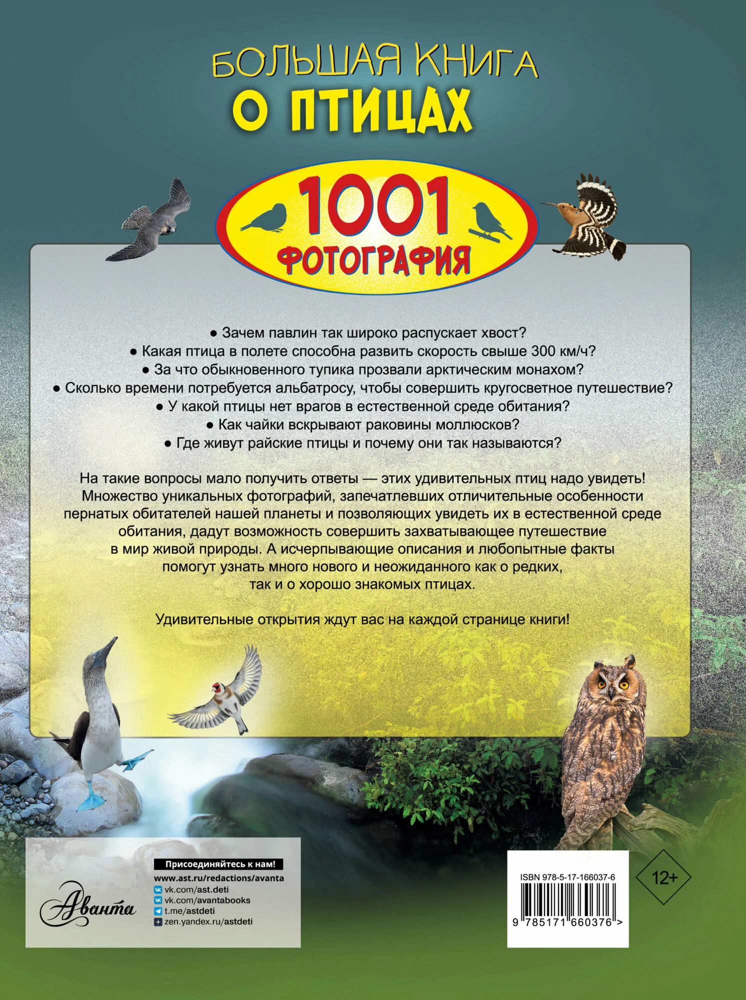 Lielā grāmata par putniem. 1001 fotogrāfija