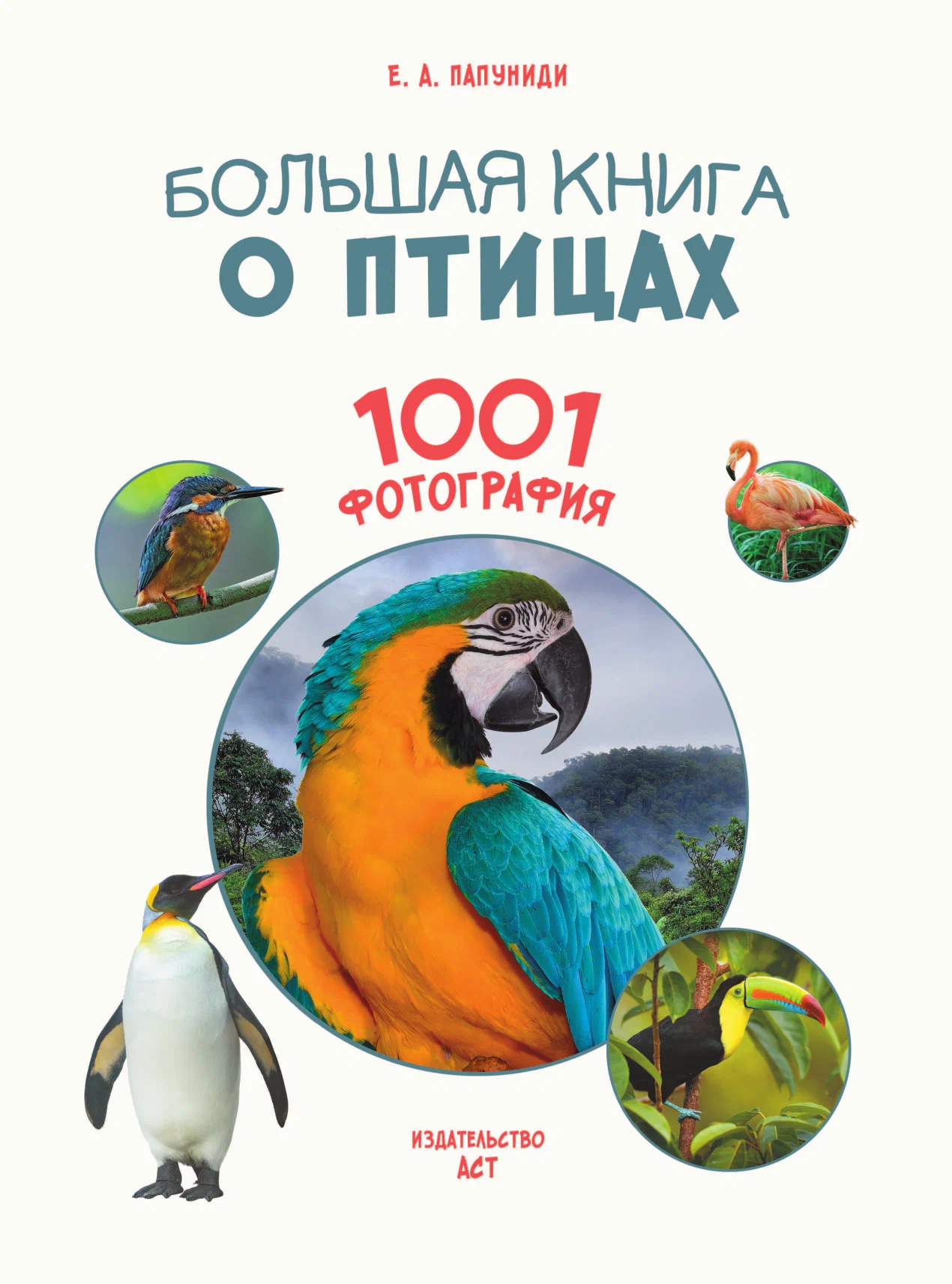 Lielā grāmata par putniem. 1001 fotogrāfija