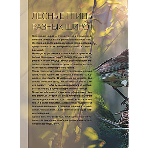 Lielā grāmata par putniem. 1001 fotogrāfija