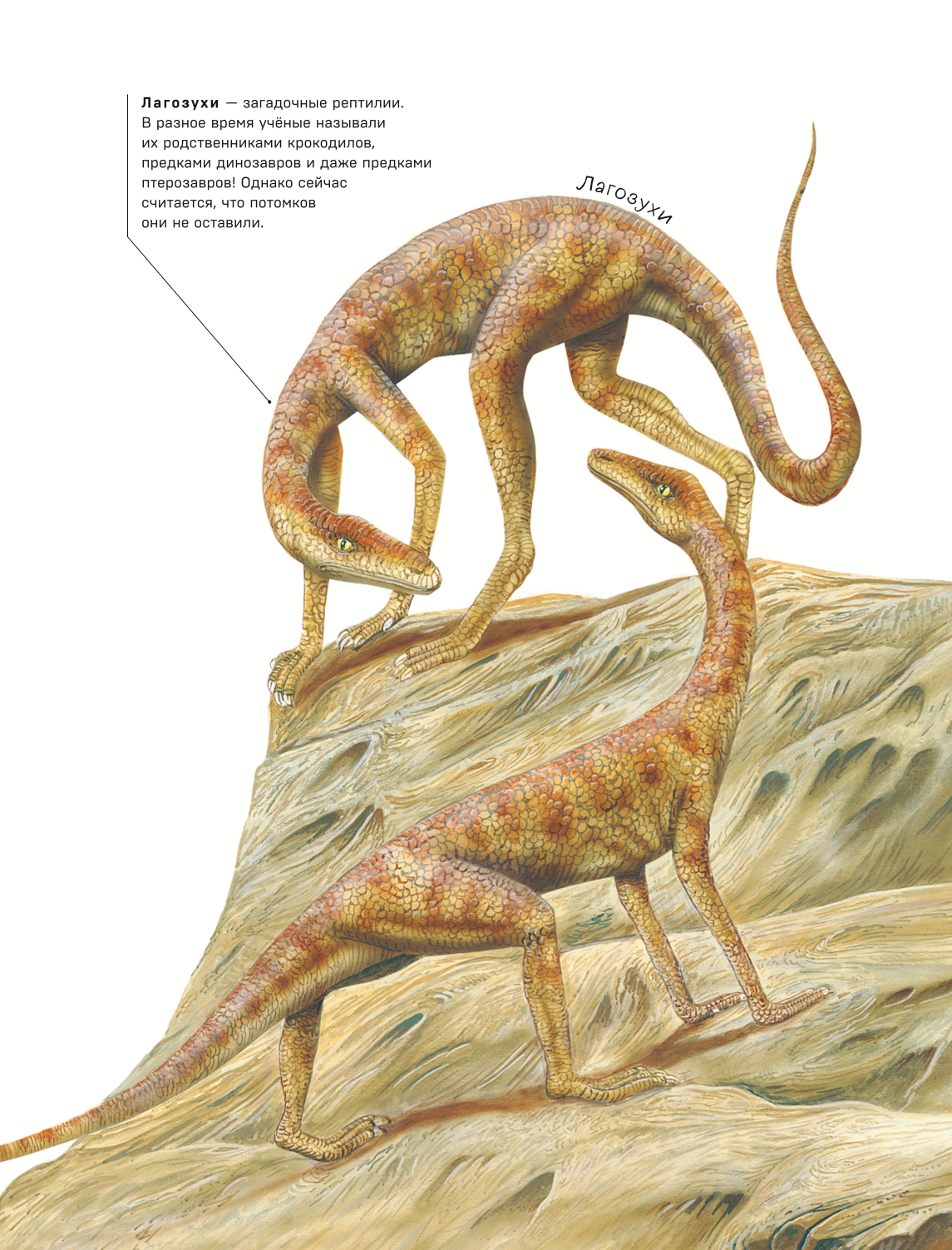 Dinozauri. Vismodernākā enciklopēdija par senajiem rāpuļiem