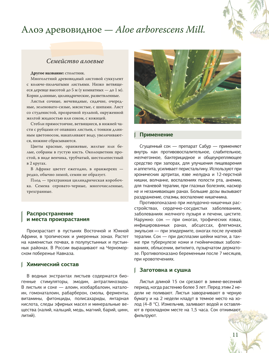 Zāļu grāmata. Lielā enciklopēdija par ārstniecības augiem