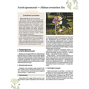 Zāļu grāmata. Lielā enciklopēdija par ārstniecības augiem
