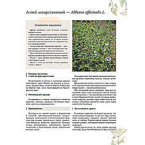 Zāļu grāmata. Lielā enciklopēdija par ārstniecības augiem