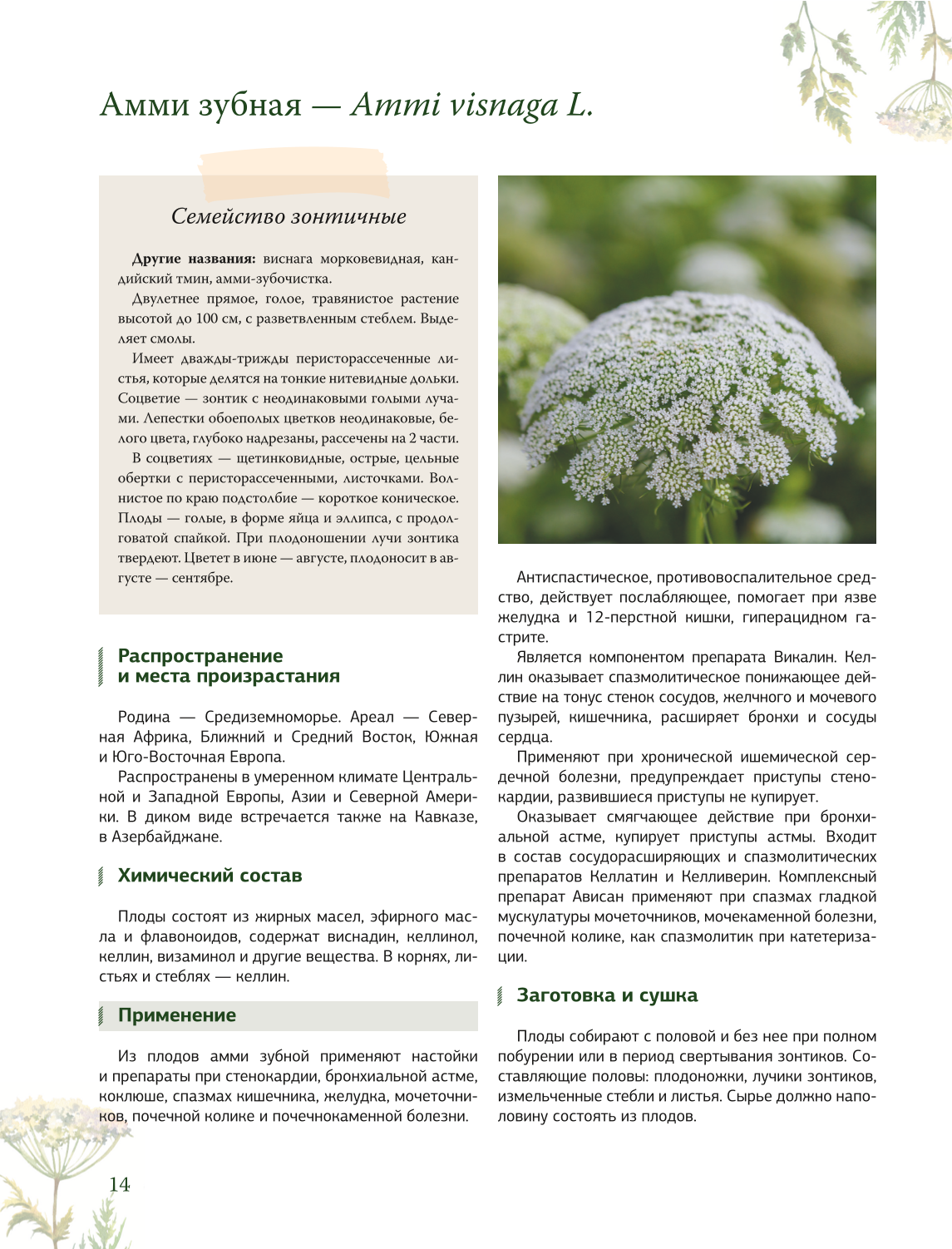 Zāļu grāmata. Lielā enciklopēdija par ārstniecības augiem