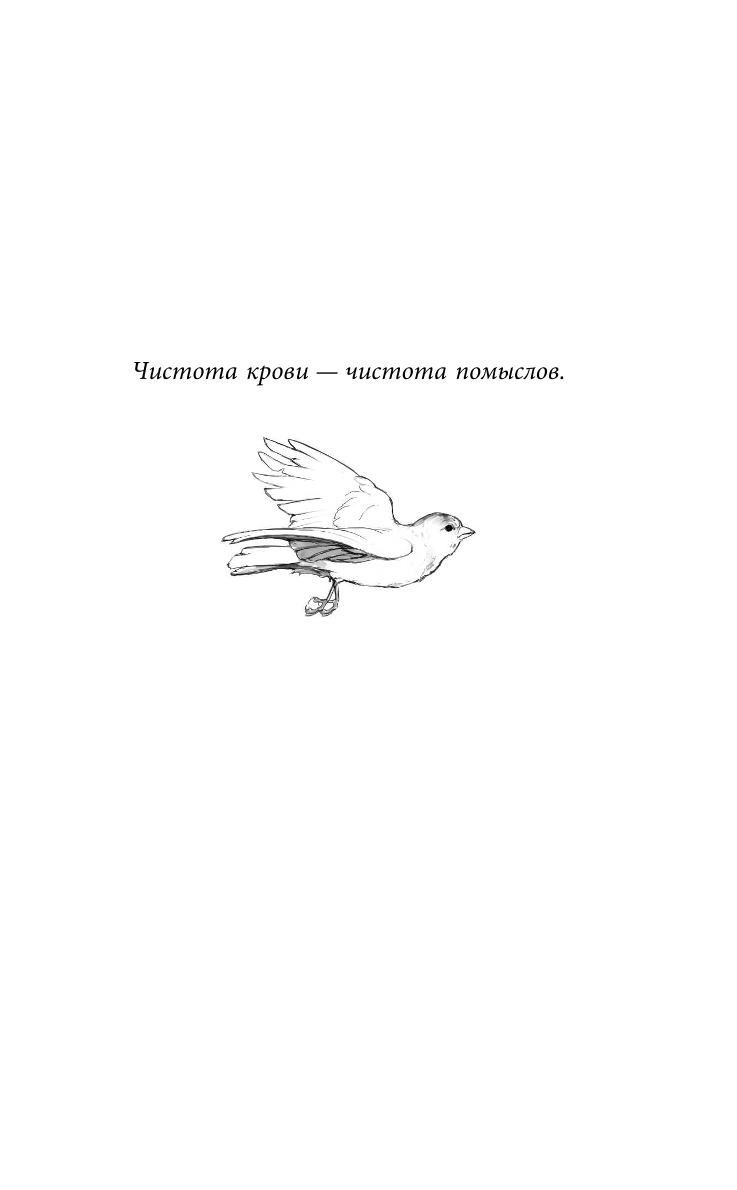 Pēsongu Sorkoputa. Renesanse
