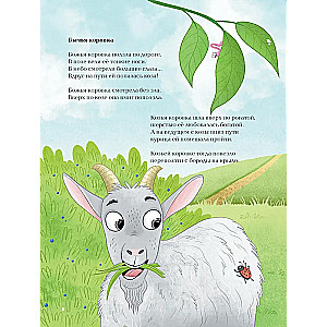Kukaiņi. Dzejoļi par kukaiņiem un pelēm