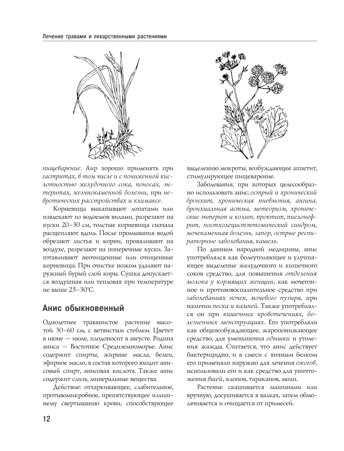 Tautas medicīnas un naturopātijas enciklopēdija. Profilakse un slimību ārstēšana ar tautas līdzekļiem mājas apstākļos