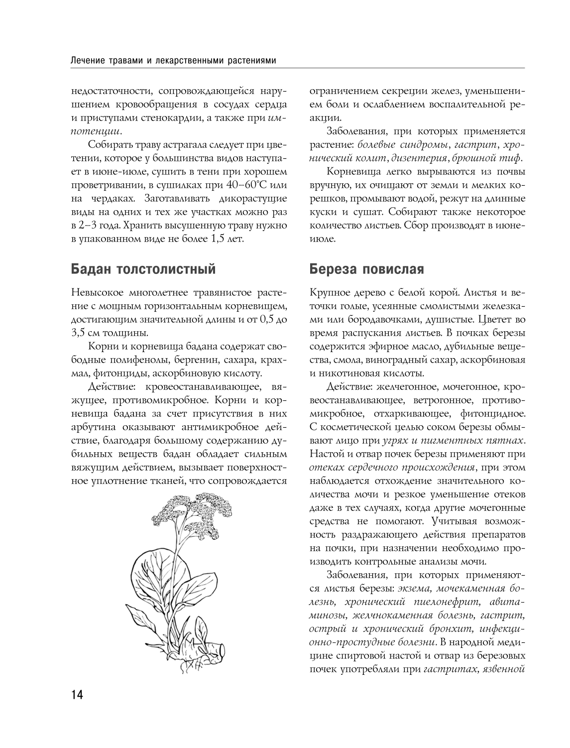 Tautas medicīnas un naturopātijas enciklopēdija. Profilakse un slimību ārstēšana ar tautas līdzekļiem mājas apstākļos