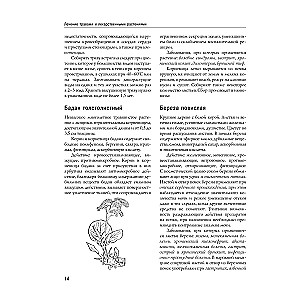 Tautas medicīnas un naturopātijas enciklopēdija. Profilakse un slimību ārstēšana ar tautas līdzekļiem mājas apstākļos