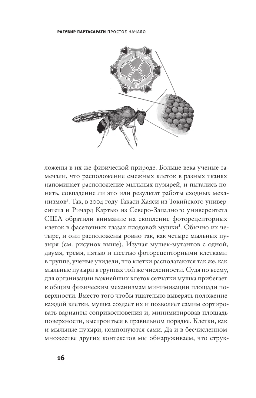 Vienkāršs sākums
