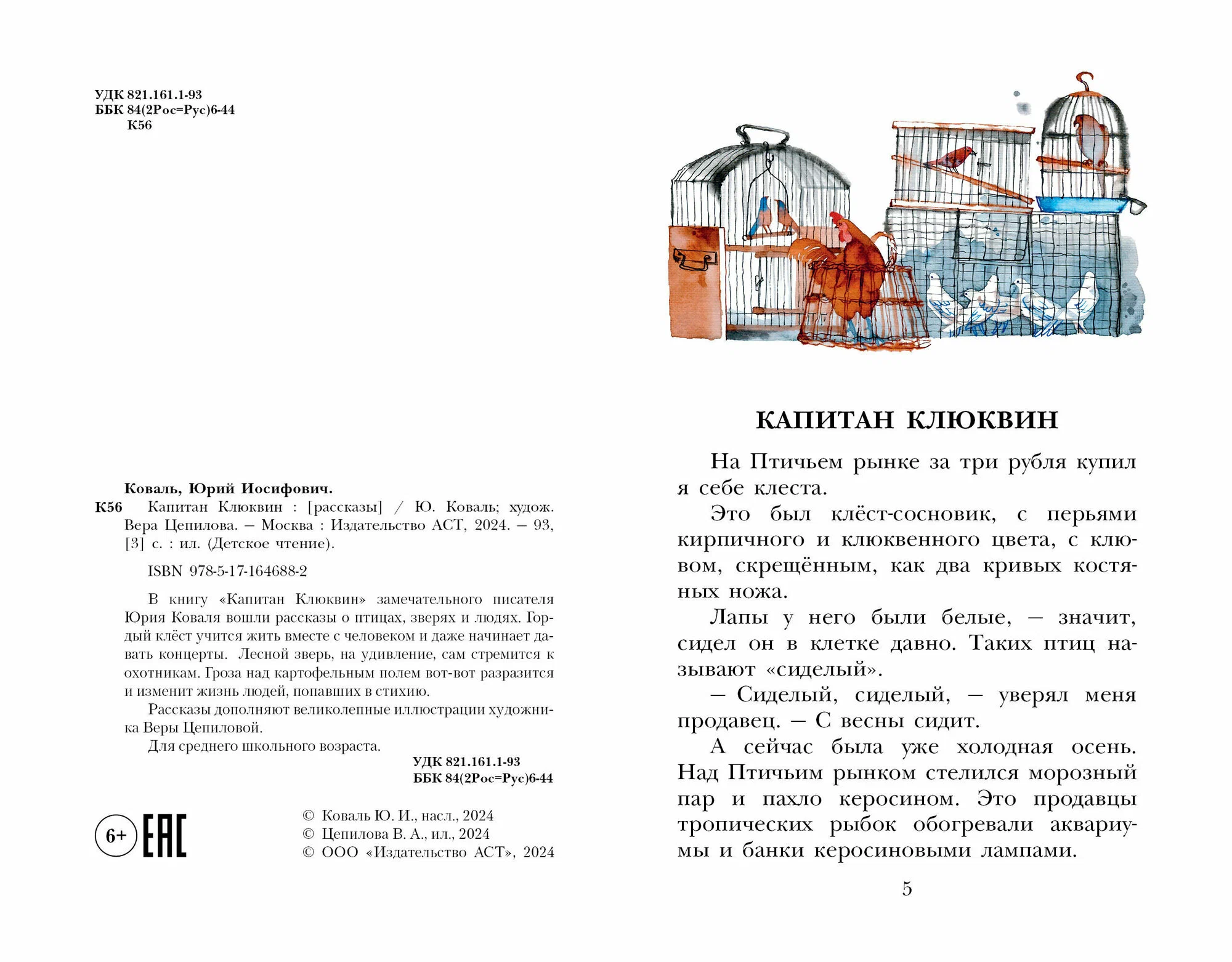 Kapteinis Kļukvins