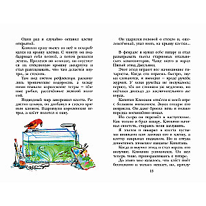 Kapteinis Kļukvins