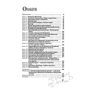Dieva formula. Kā darbojas sistēmiskie izkārtojumi un Vienotais informācijas lauks Visumā