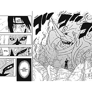 Naruto. Naruoto. Grāmata 15. Patiesības sargs