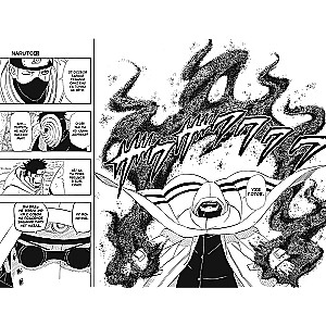 Naruto. Naruoto. Grāmata 15. Patiesības sargs