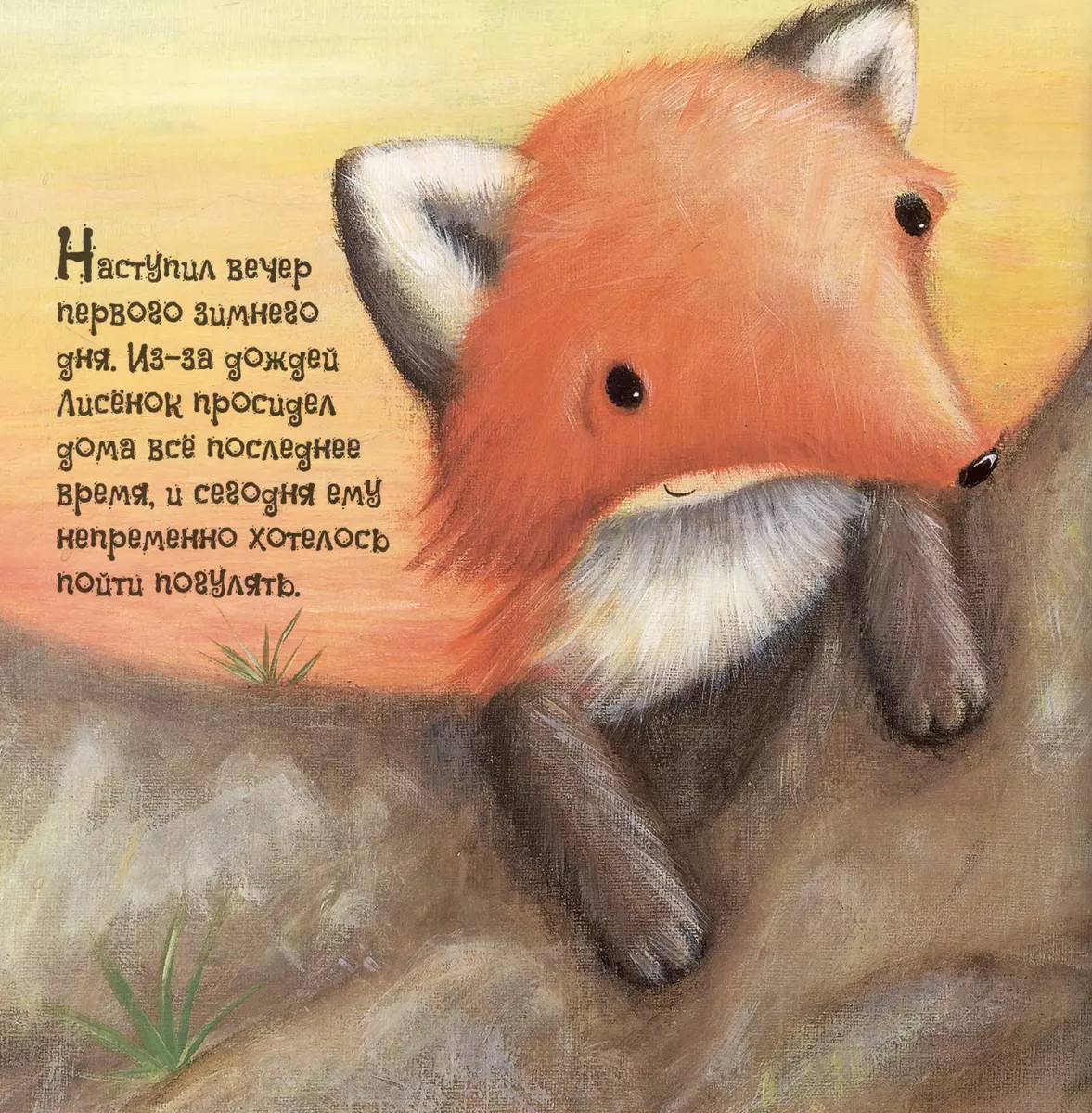 Pirmais ziemas diena