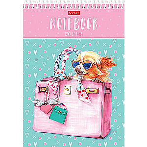 Bloknot Fashion dog Čihuahua