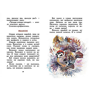 Ar dzimšanas dienu! Stāsti par dzīvniekiem