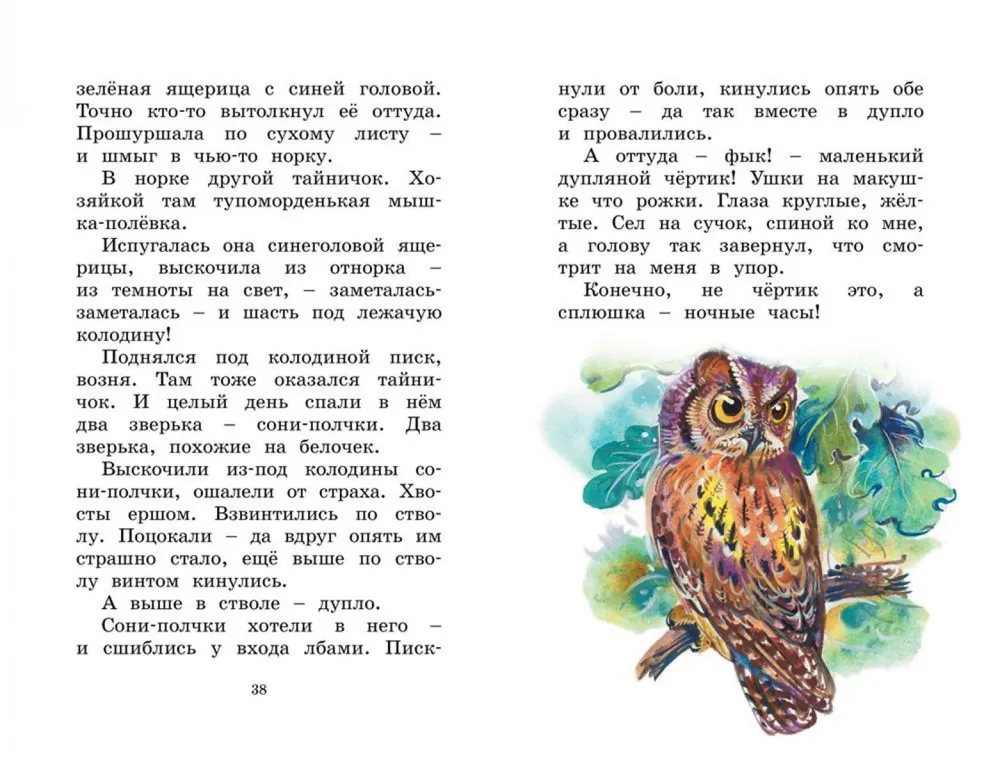 Ar dzimšanas dienu! Stāsti par dzīvniekiem