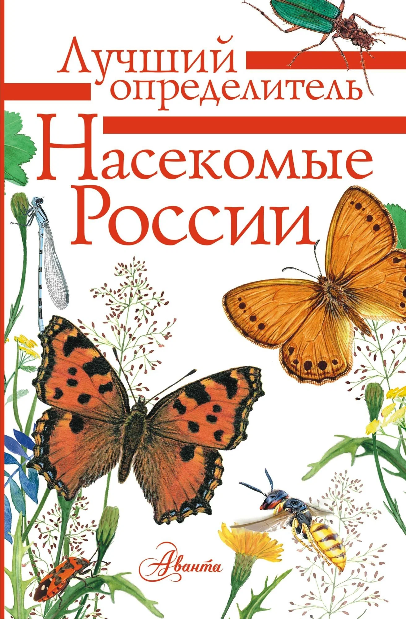 Kukaiņi Krievijā