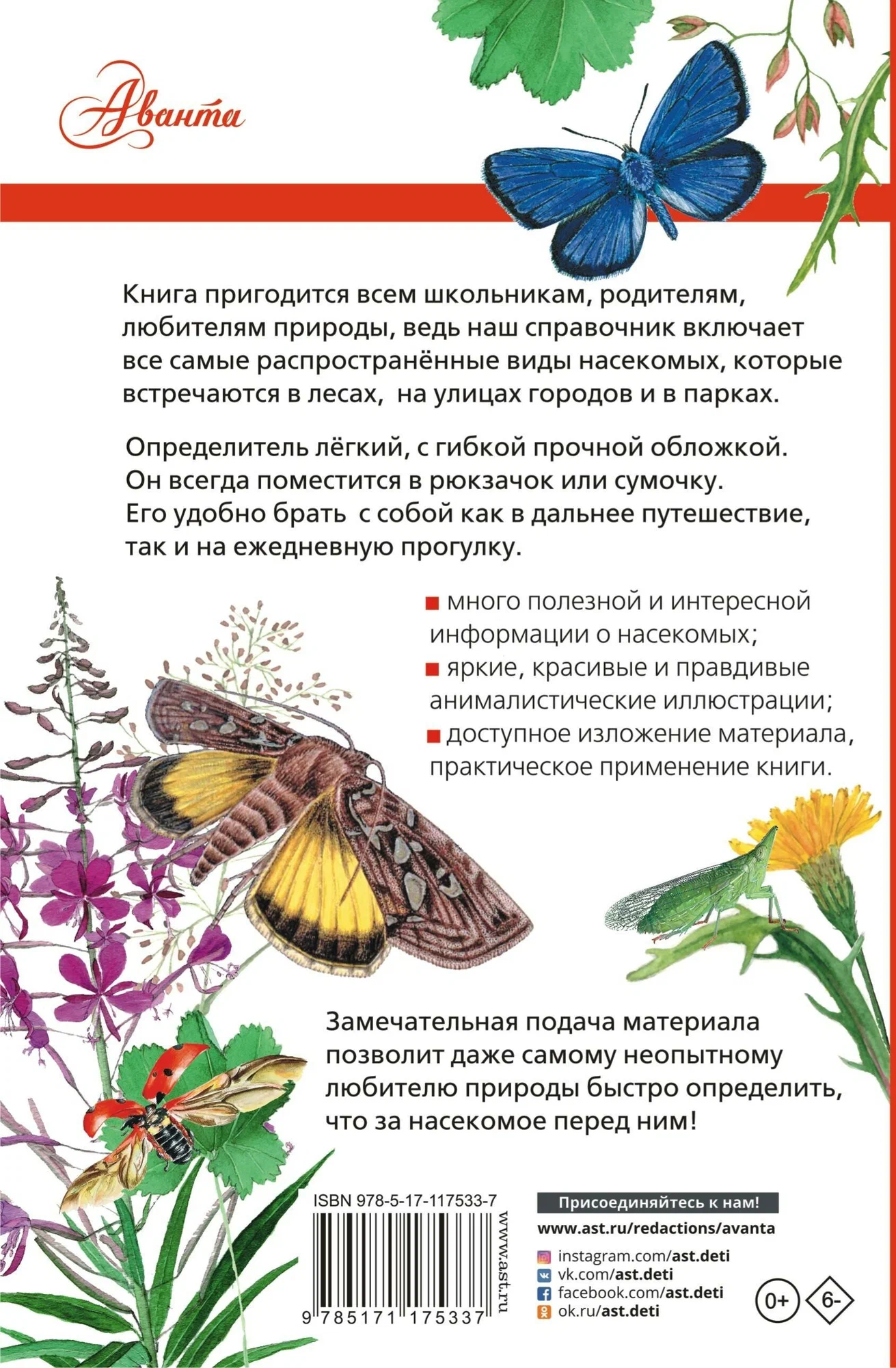 Kukaiņi Krievijā
