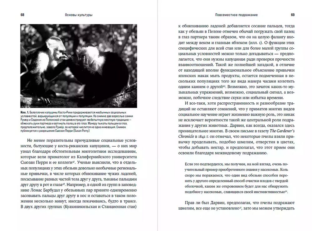 Неоконченная симфония Дарвина. Как культура формировала человеческий разум