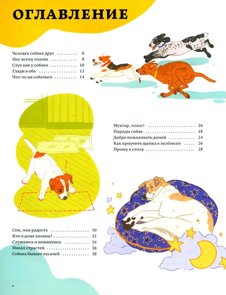 Suns noslēpumi. Kā saprast suni un kļūt par viņa draugu