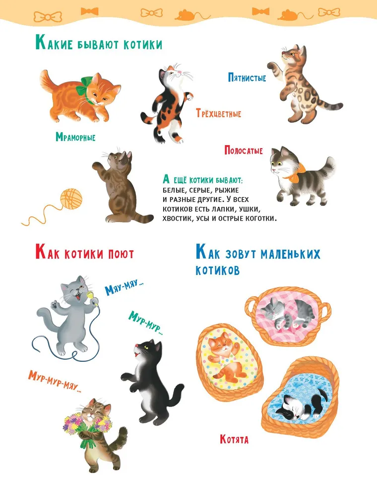 Viesojoties pie kaķīšiem