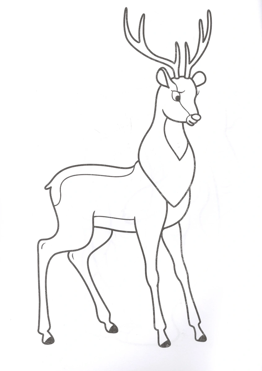 Krāsojamā grāmata A4. Zoodārzs