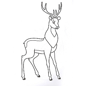 Krāsojamā grāmata A4. Zoodārzs