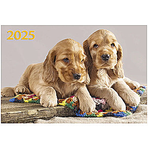 Kvaršu kalendārs pie sienas trīs bloku Divi kucēni 310x680 uz 2025. gadu