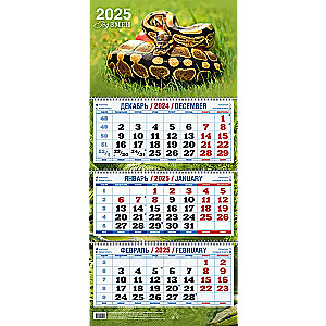 Kvaršu kalendārs pie sienas trīs bloku Gads Čūskas 310x680 uz 2025. gadu