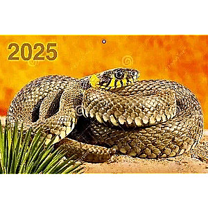 Kvaršu kalendārs pie sienas trīs bloku Gads Čūskas 310x680 uz 2025. gadu
